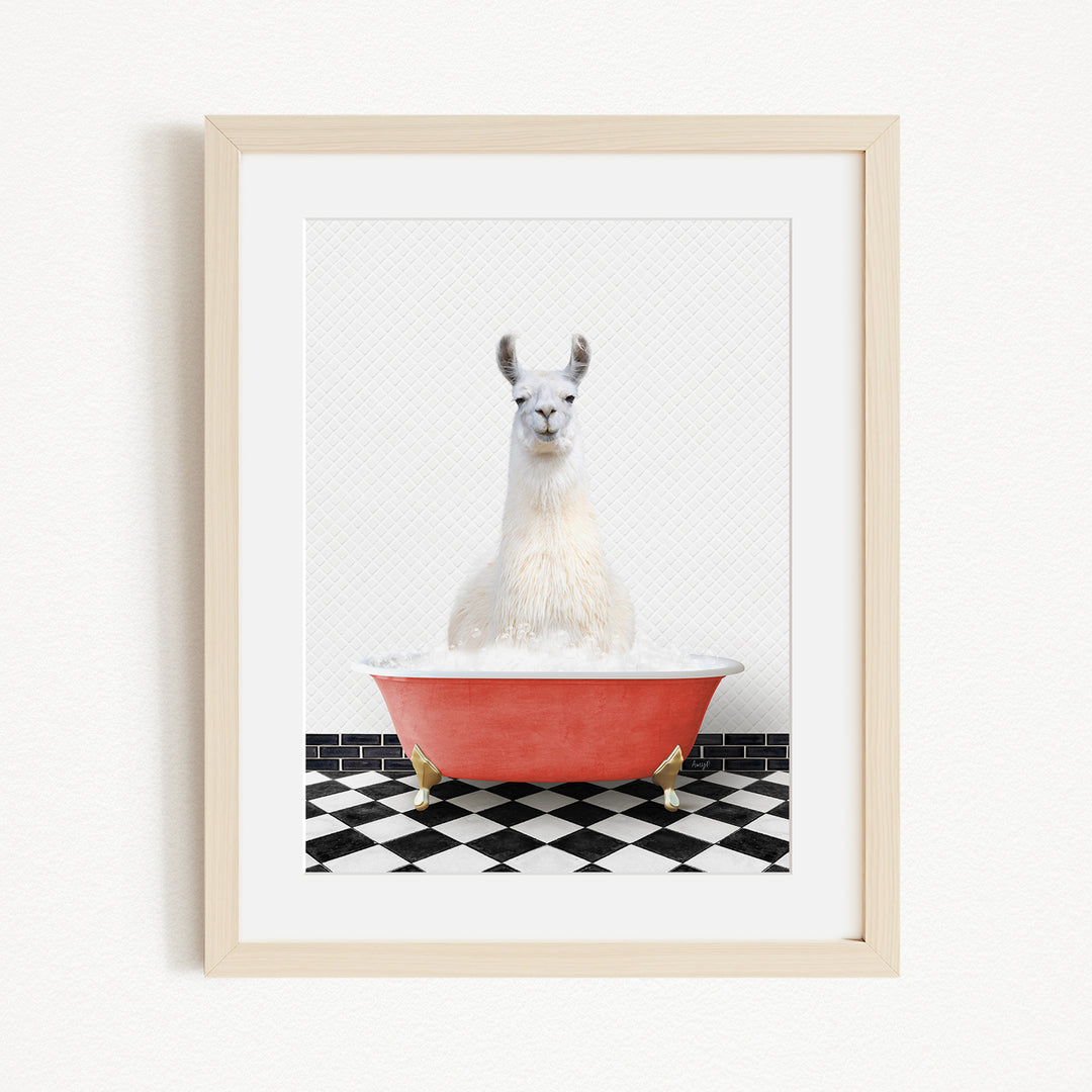 A white llama sitting in a red bathtub on a black and white checkered floor.