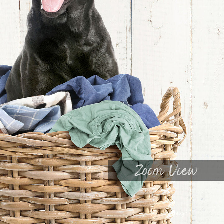 A black dog sitting in a wicker basket filled with clothes.