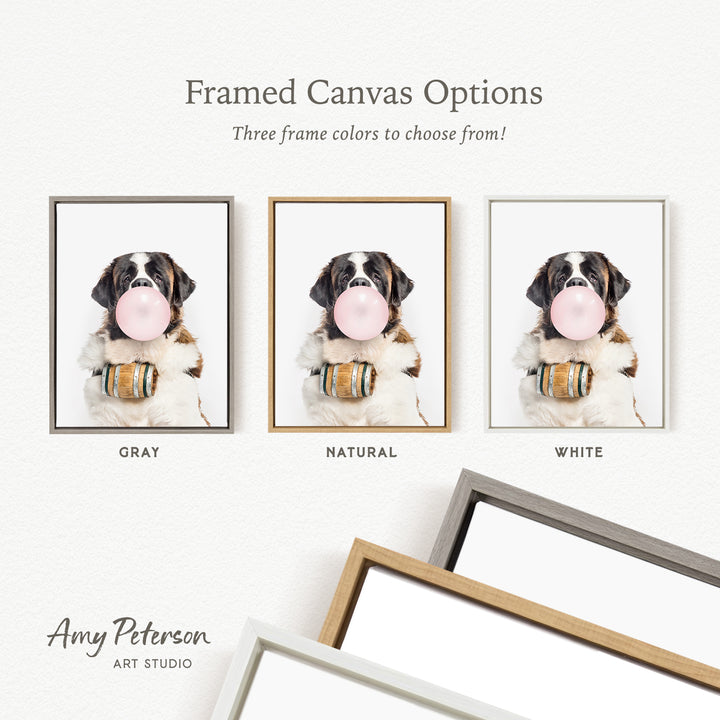 three framed canvas options, each featuring a different color: gray, natural, and white. The text above the images reads " Framed Canvas Options" and "Three frame colors to choose from!". The text below the images reads " Amy Peterson ART STUDIO".