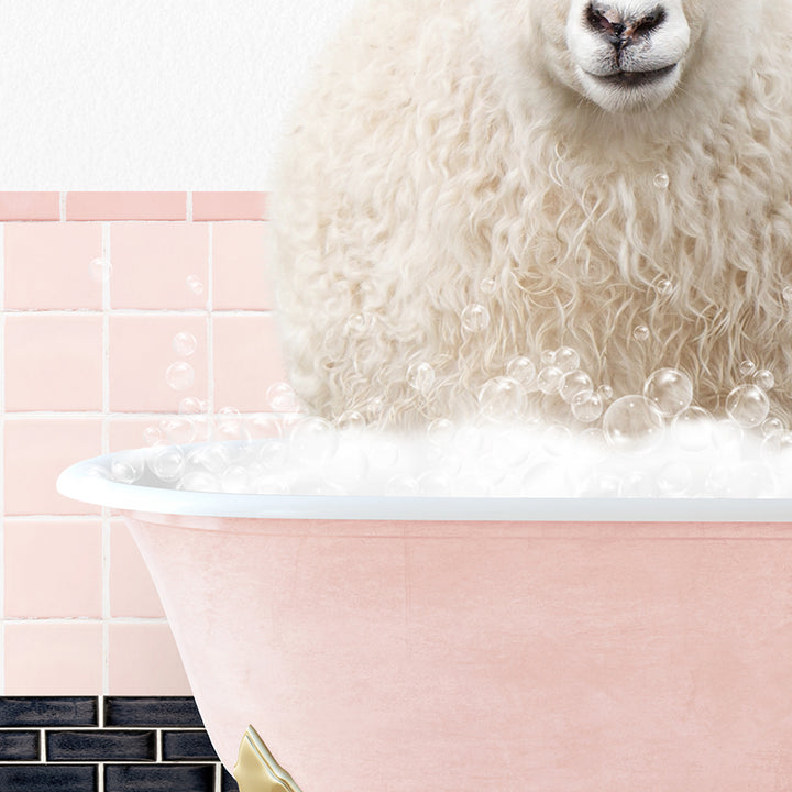 a sheep is sitting in a bathtub full of bubbles