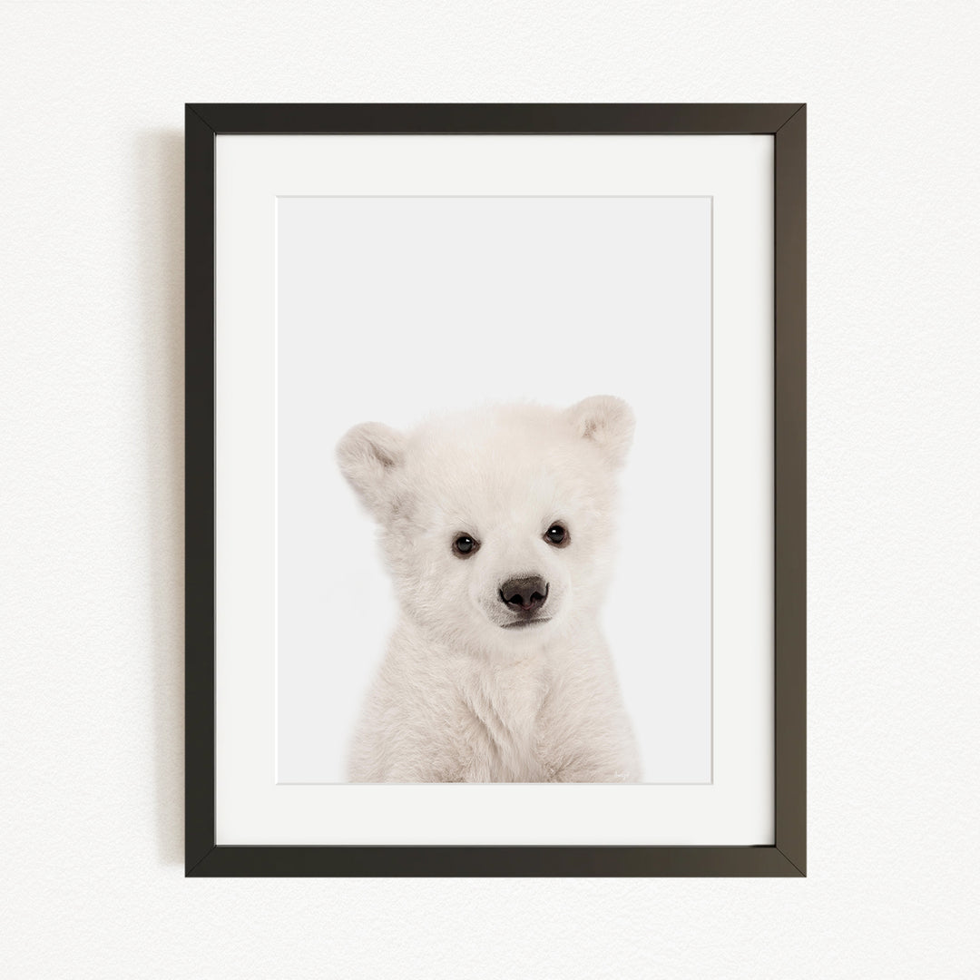 A cute white polar bear cub is the focus of the framed photograph, which is hung on a wall.