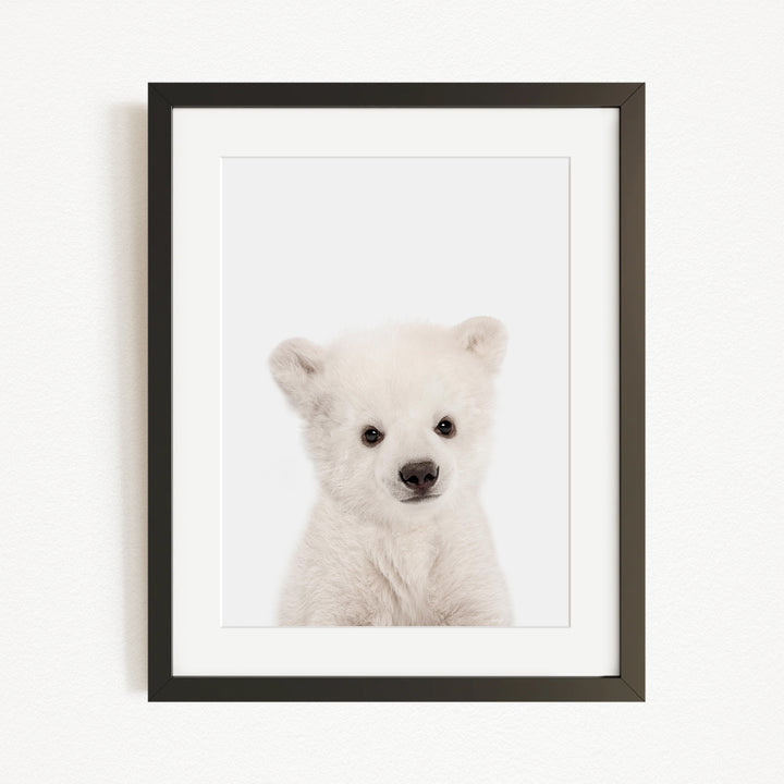A cute white polar bear cub is the focus of the framed photograph, which is hung on a wall.