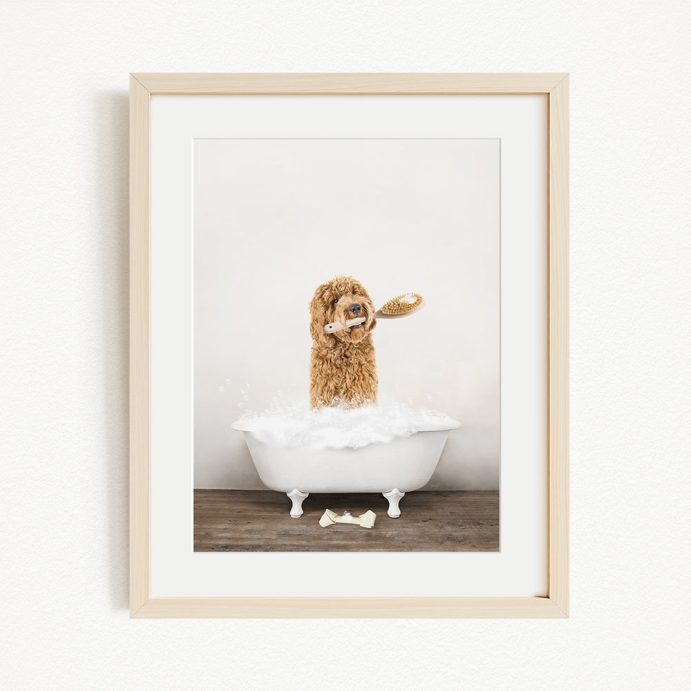 A brown dog is sitting in a white bathtub filled with bubbles, holding a white object in its mouth.