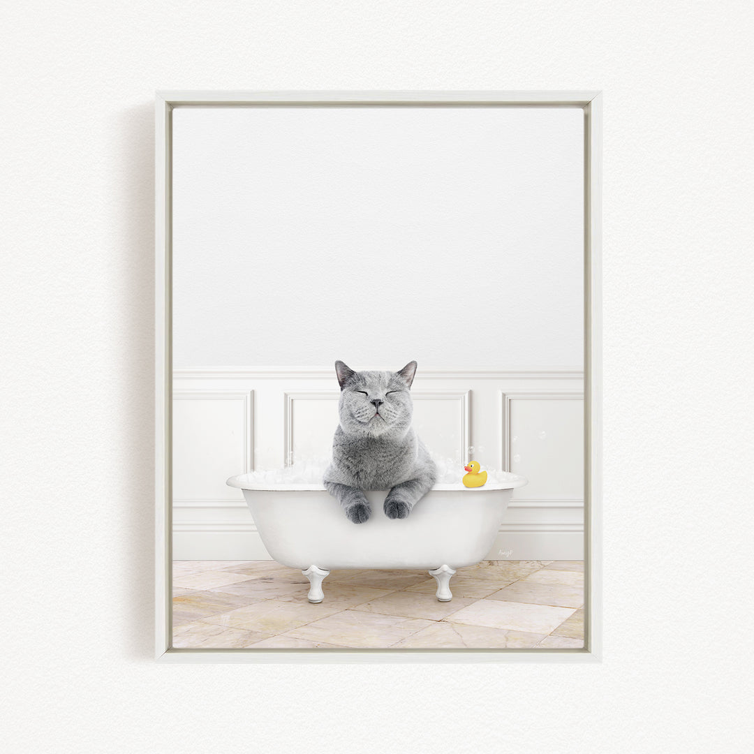 A gray cat sitting in a white bathtub, with a rubber duck floating in the water.
