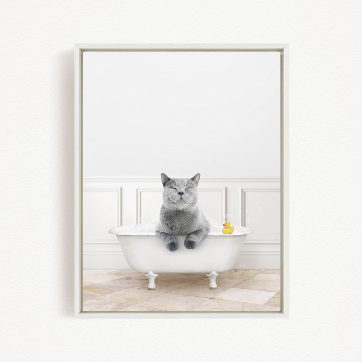 A gray cat sitting in a white bathtub, with a rubber duck floating in the water.