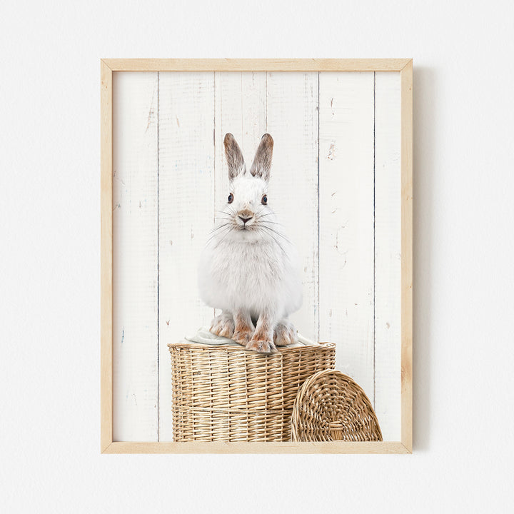 a picture of a white rabbit sitting in a basket