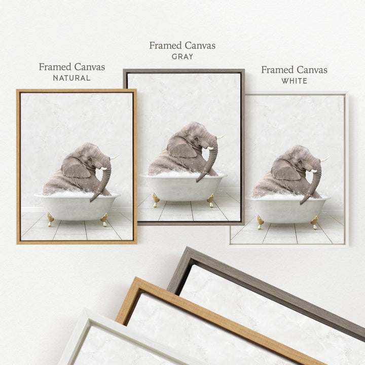 three framed pictures of an elephant sitting in a bathtub, each with a different color frame.