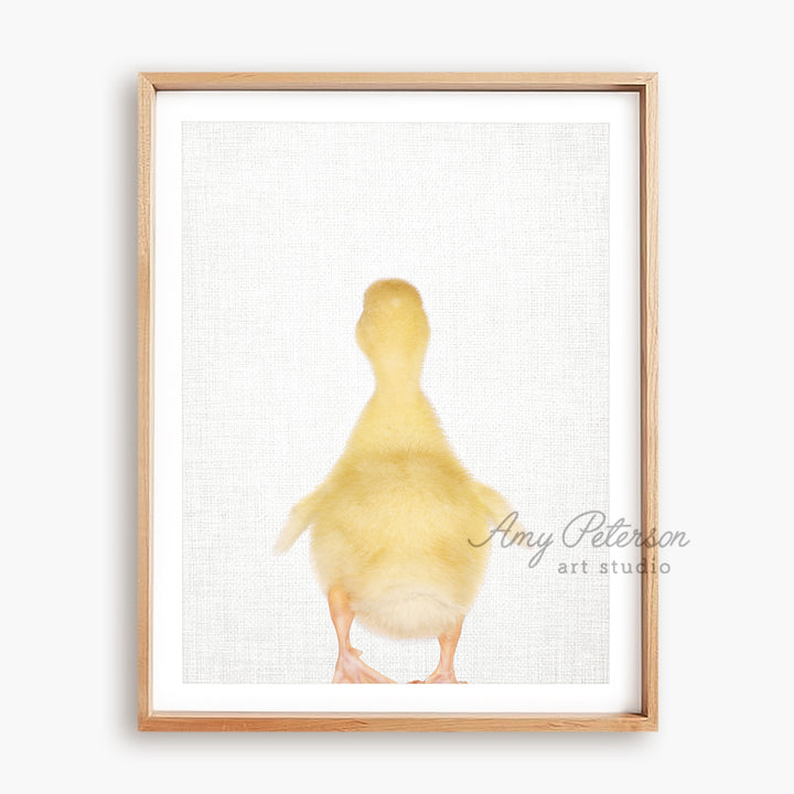 a picture of a yellow duckling on a white background