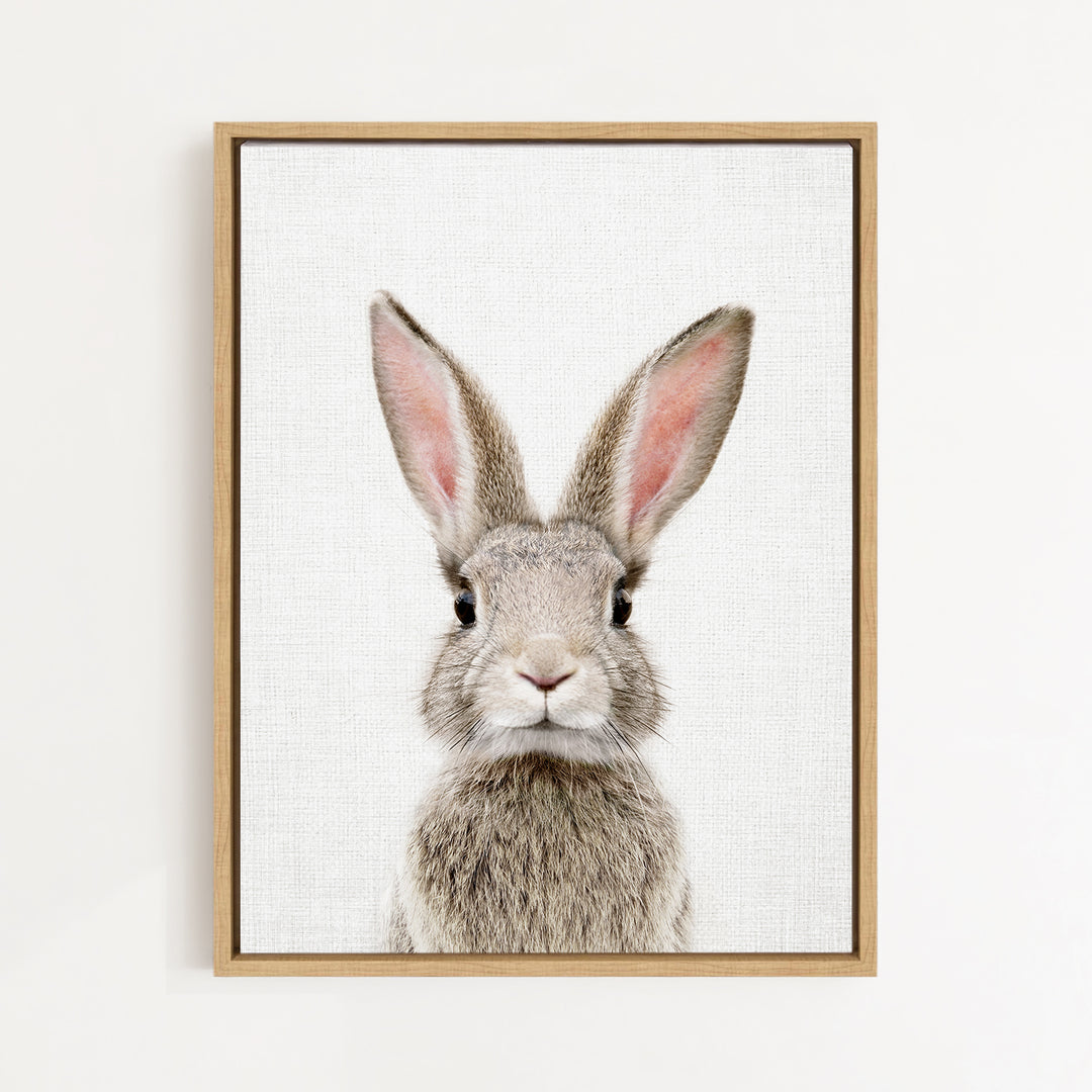 A framed print of a rabbit with large ears and a white face is displayed on a white wall.