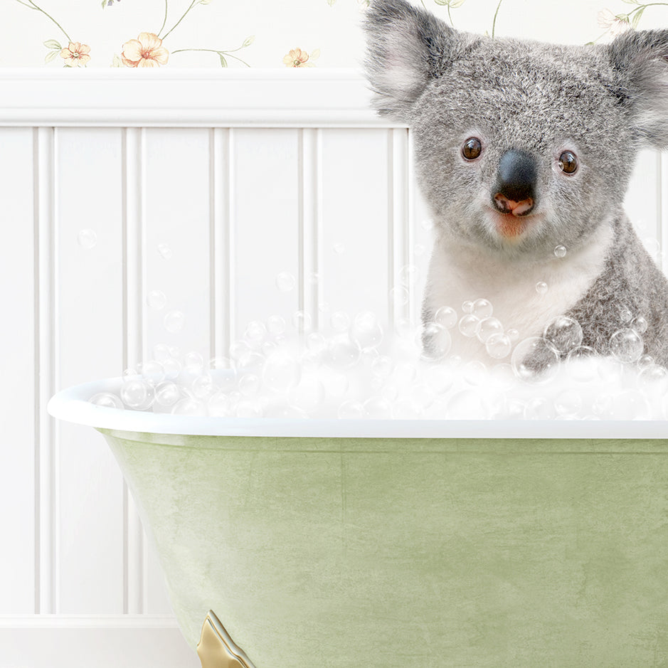 a koala sitting in a bathtub full of bubbles