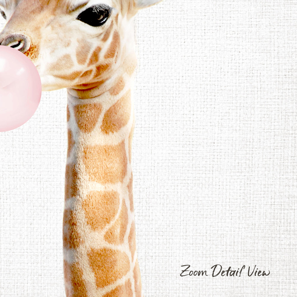 A giraffe blowing a bubble with a pink bubble gum bubble.
