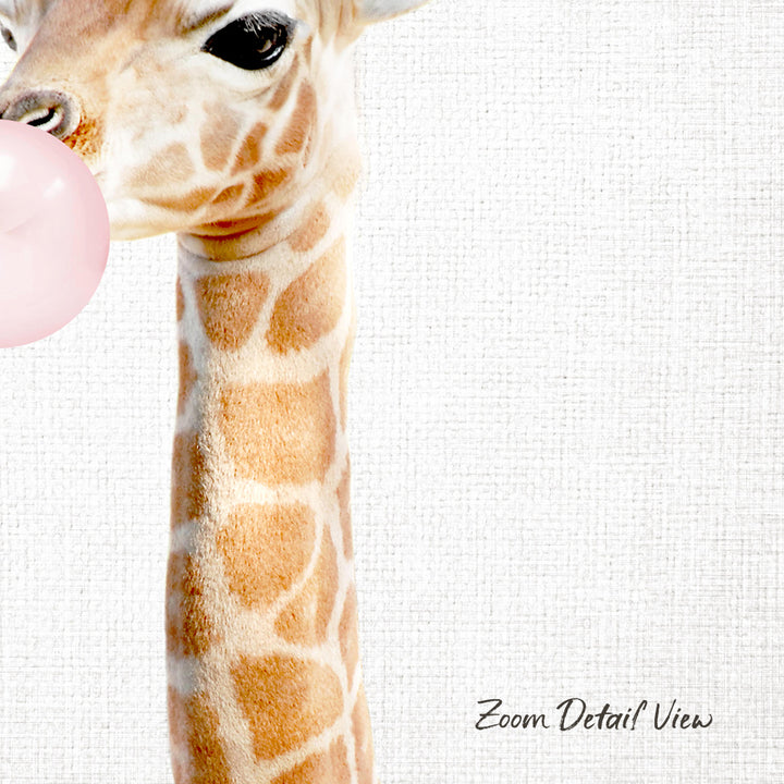 A giraffe blowing a bubble with a pink bubble gum bubble.
