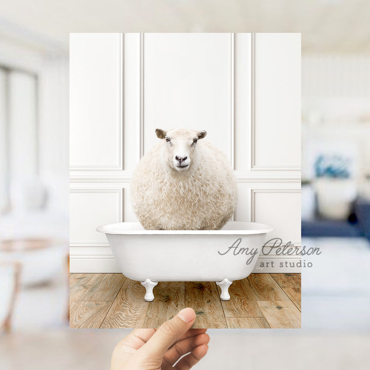 a hand holding a photo of a sheep in a bathtub