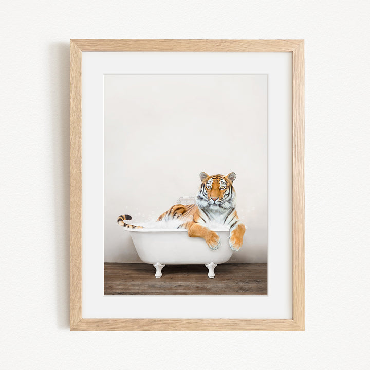 A tiger is sitting in a white bathtub, appearing relaxed and enjoying the bath.