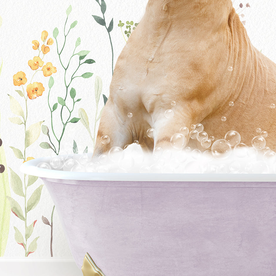 Horse in Spring Bath