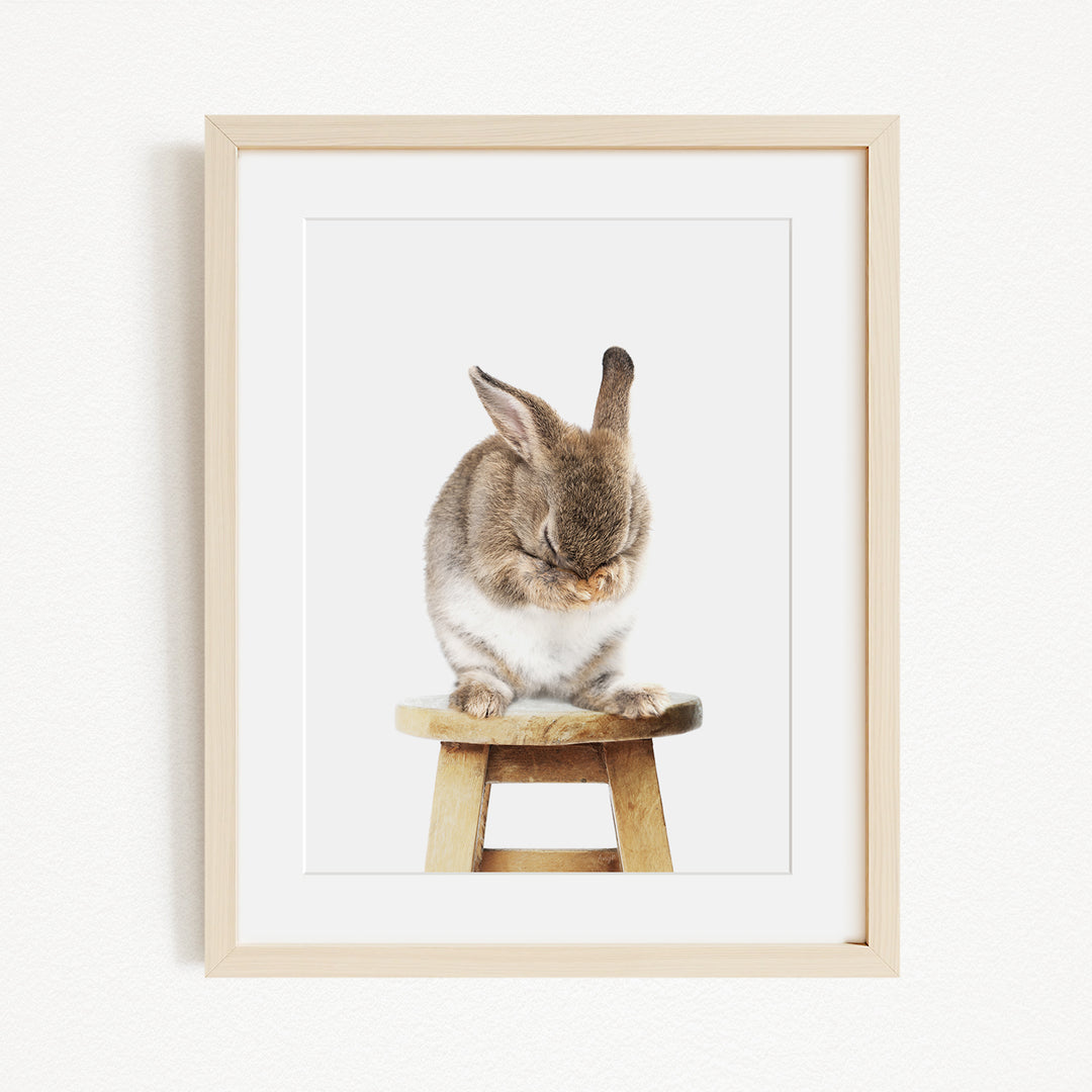 A cute, fluffy rabbit sitting on a wooden stool, with its head resting on its paws.