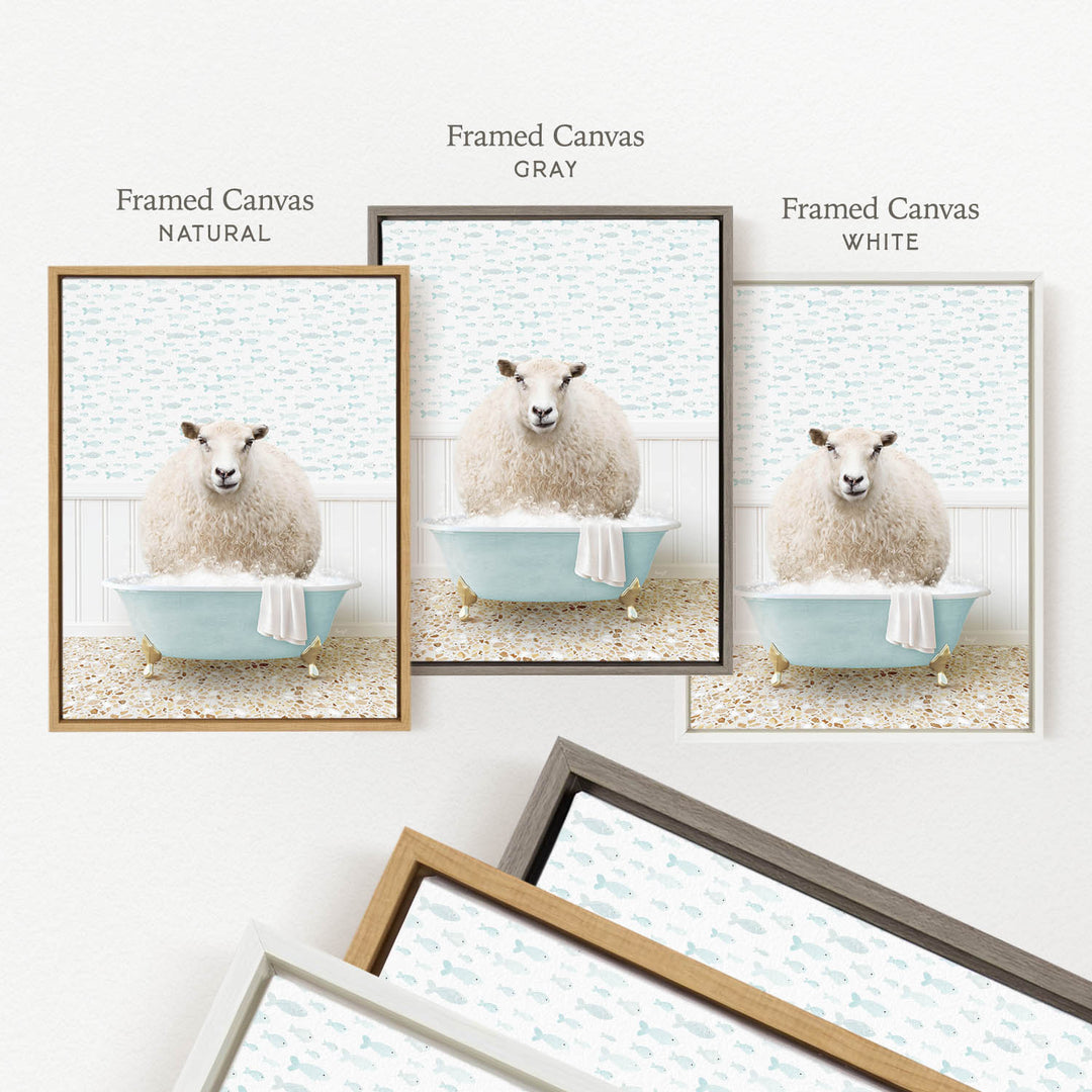 three framed pictures of a sheep sitting in a bathtub, each with a different colored frame.