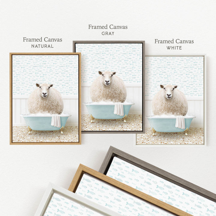 three framed pictures of a sheep sitting in a bathtub, each with a different colored frame.