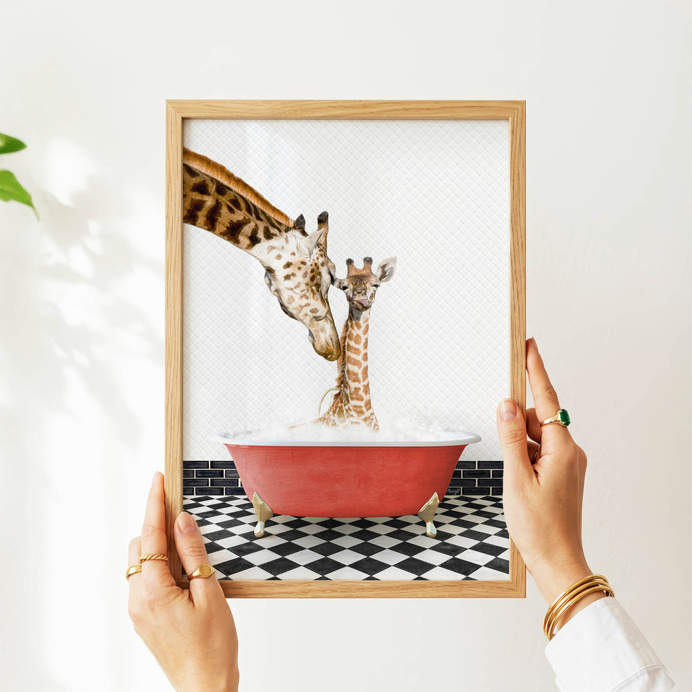 A person's hands are holding a framed picture of two giraffes in a bathtub, with one giraffe appearing to be kissing the other giraffe.