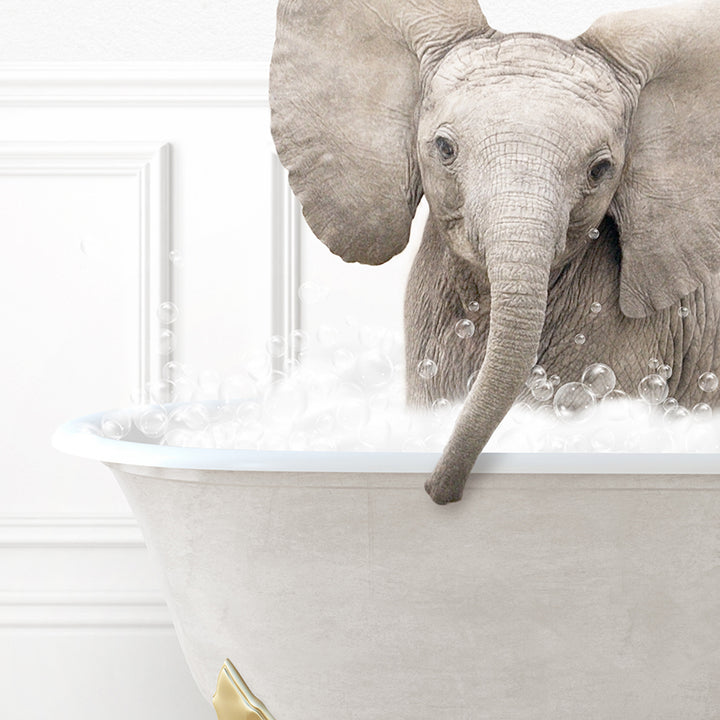 a baby elephant in a bathtub with bubbles