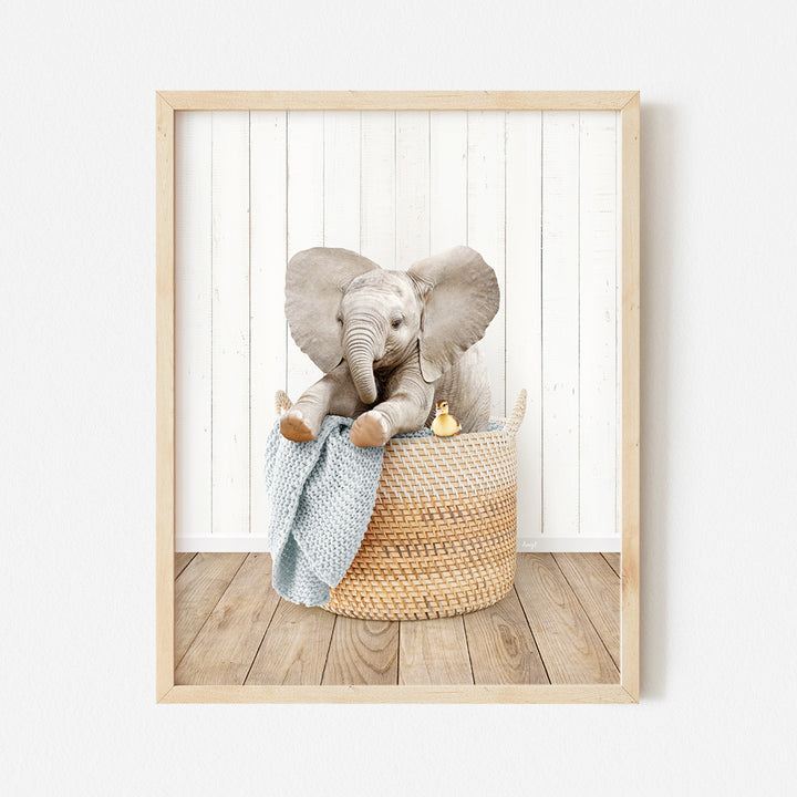 a picture of an elephant in a basket