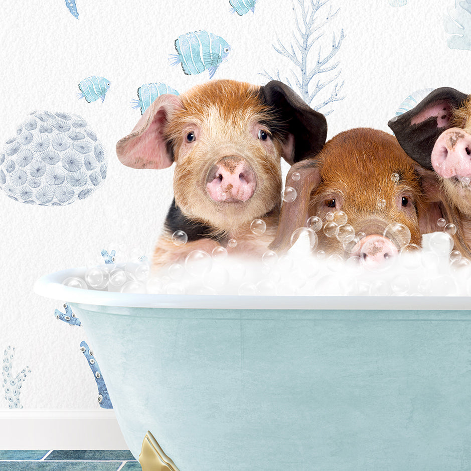 a group of three pigs sitting in a bathtub