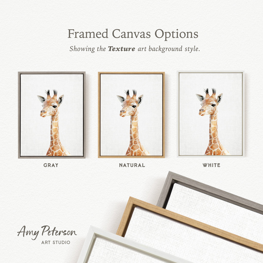 three framed canvas options for a giraffe, each with a different color frame, showcasing the texture art background style.