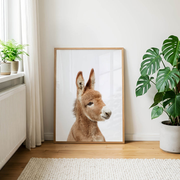 a large framed picture of a donkey, which is the central focus of the room. The donkey is positioned in the center of the frame, and the white wall behind it provides a neutral backdrop. The room also includes a window, a rug, and two potted plants, creating a cozy and inviting atmosphere.