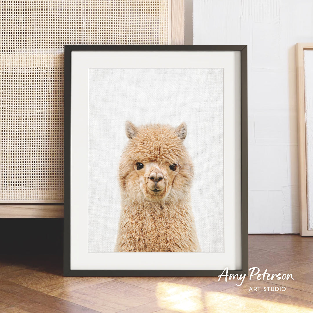 A framed photograph of a fluffy alpaca is displayed on a wooden floor in front of a woven basket.