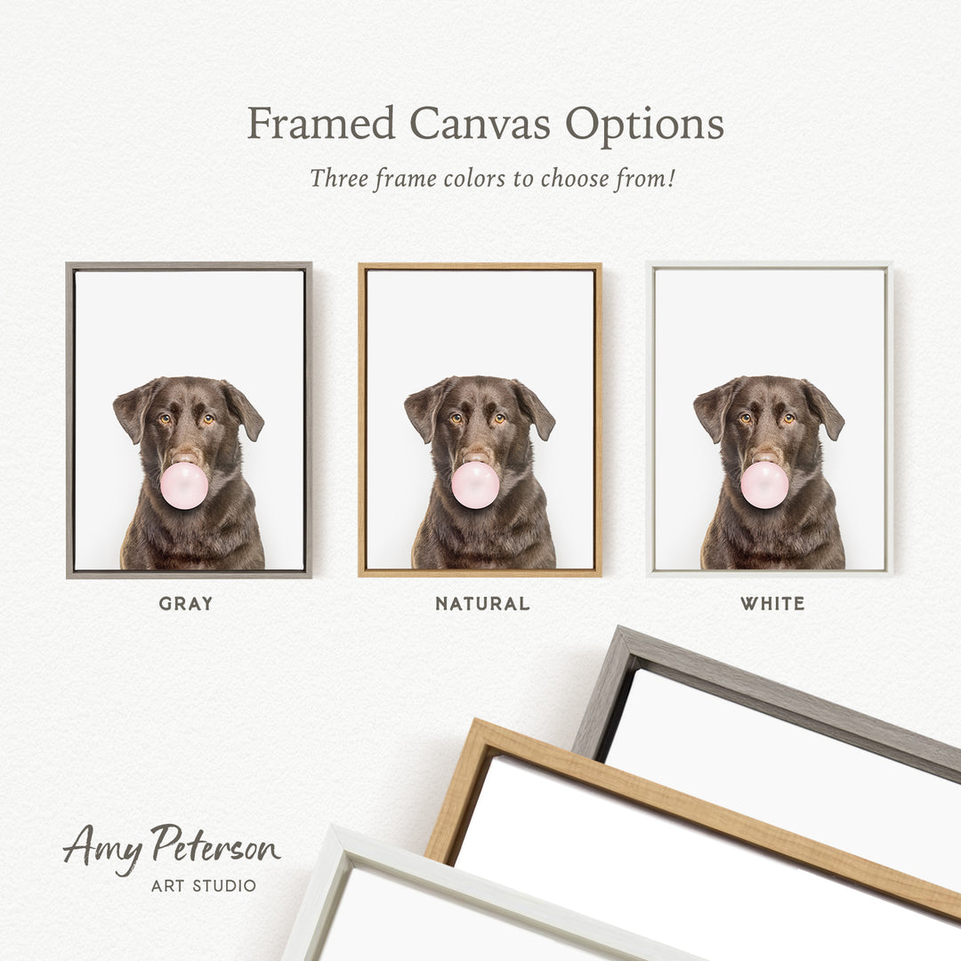 three framed canvas options for a photograph of a dog blowing a bubble with a bubble gum bubble. The options include a gray frame, a natural frame, and a white frame.