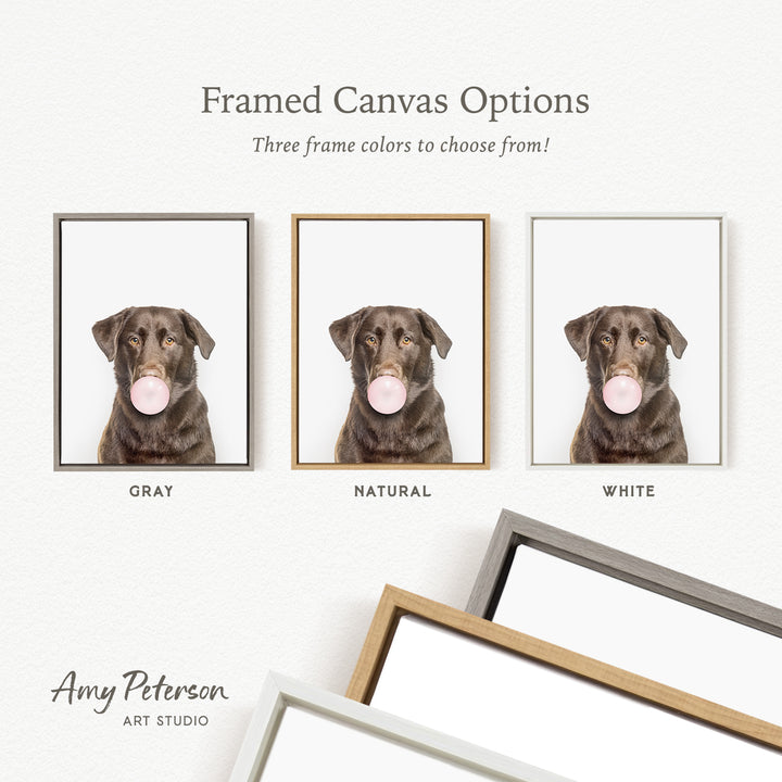 three framed canvas options for a photograph of a dog blowing a bubble with a bubble gum bubble. The options include a gray frame, a natural frame, and a white frame.