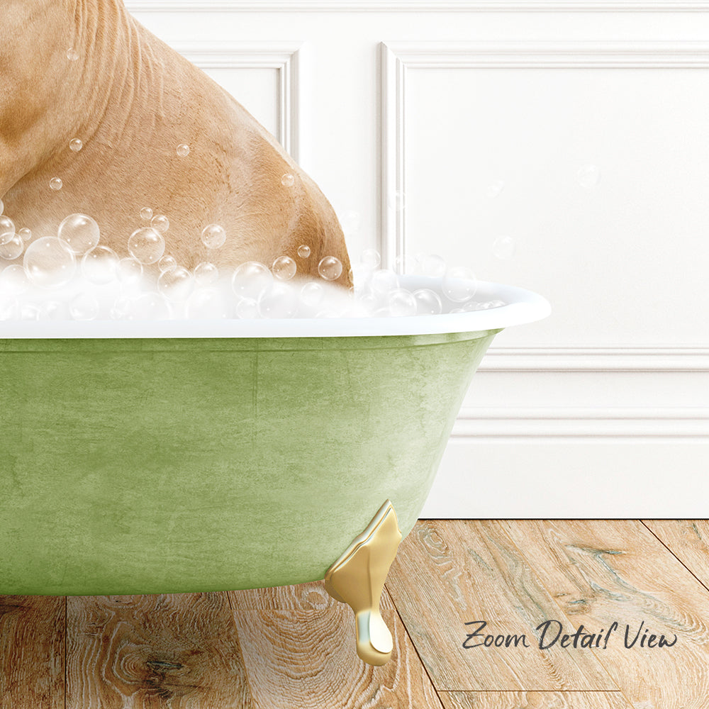 A dog is sitting in a green bathtub filled with bubbles, with a wooden floor visible in the background.