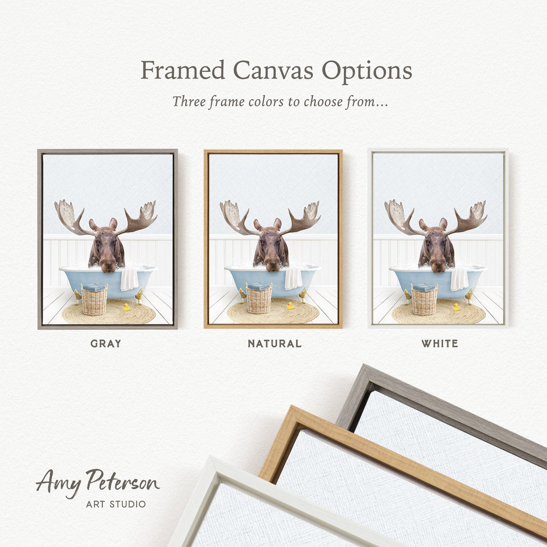 three framed canvas options featuring a moose in a bathtub, with each option having a different frame color.