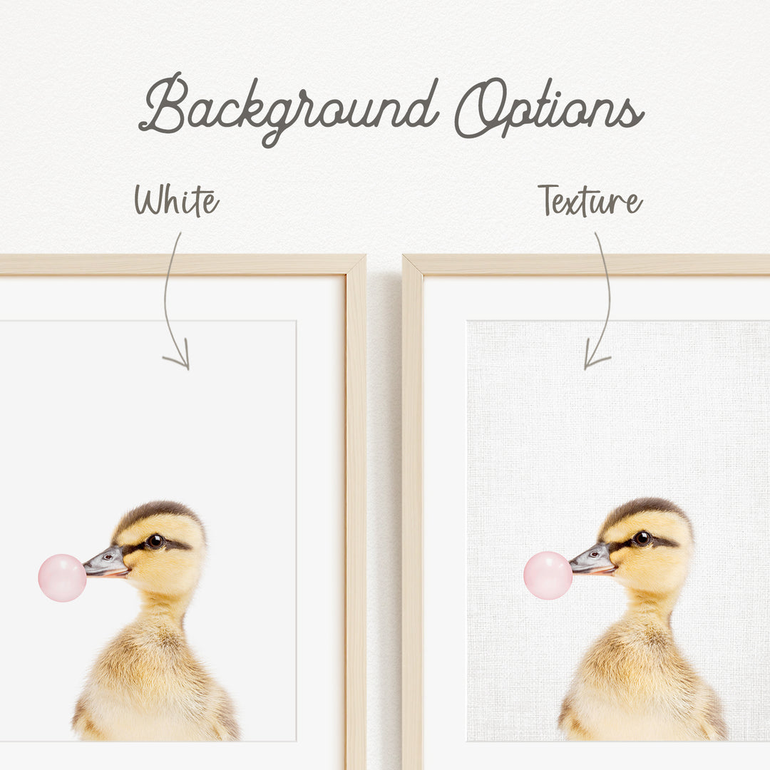 a cute duckling blowing a bubble with a bubble gum bubble.