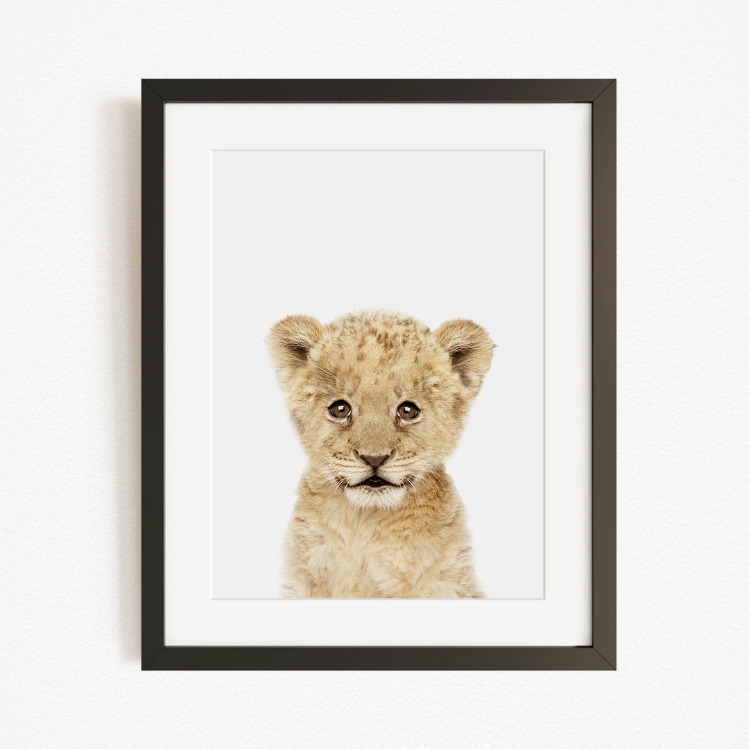 A young lion cub with a curious expression is the focus of the framed artwork displayed on the wall.