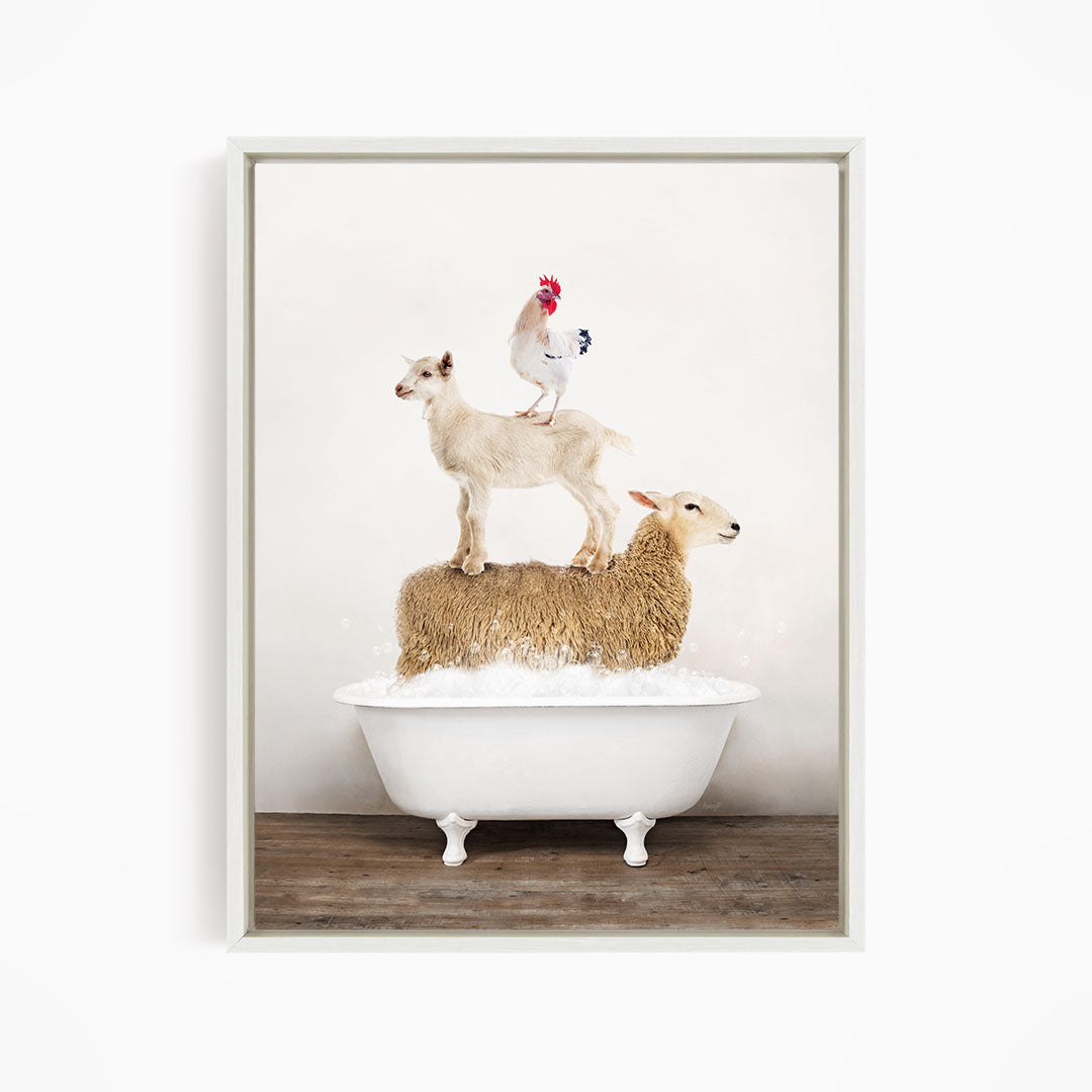 A white bathtub filled with water, with a goat standing on top of it and a chicken perched on its back.
