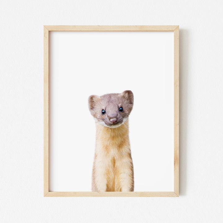 a picture of a ferret in a wooden frame