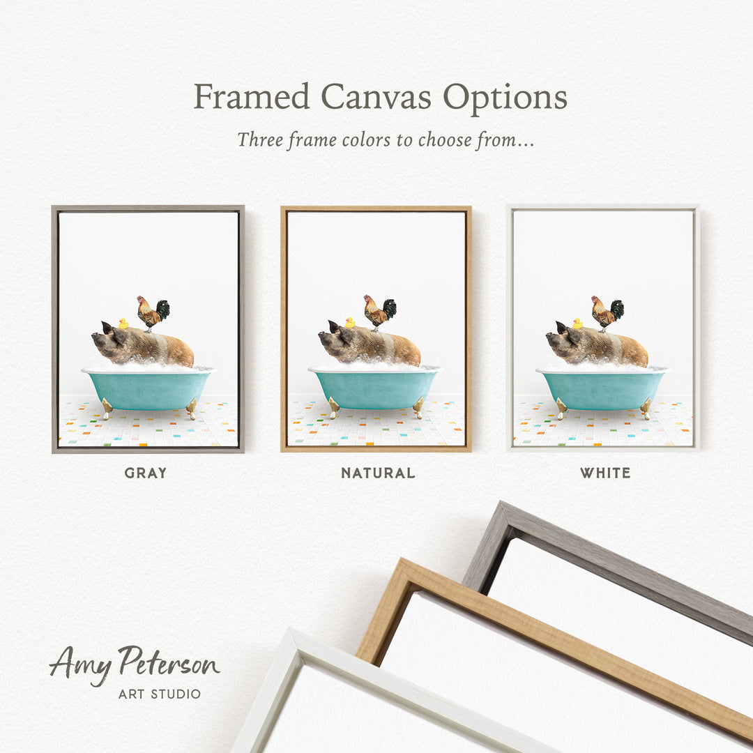 three framed canvas options, each featuring a different color: gray, natural, and white. The text above the images reads " Framed Canvas Options" and "Three frame colors to choose from...". The bottom of the image includes the text " Amy Peterson ART STUDIO".