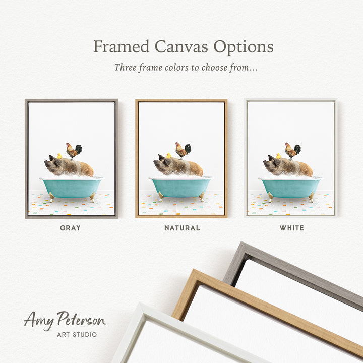 three framed canvas options, each featuring a different color: gray, natural, and white. The text above the images reads " Framed Canvas Options" and "Three frame colors to choose from...". The bottom of the image includes the text " Amy Peterson ART STUDIO".