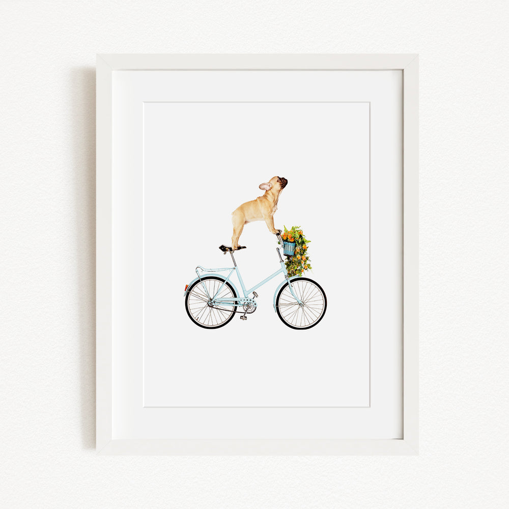 A dog is riding a bicycle with a basket of flowers on it.