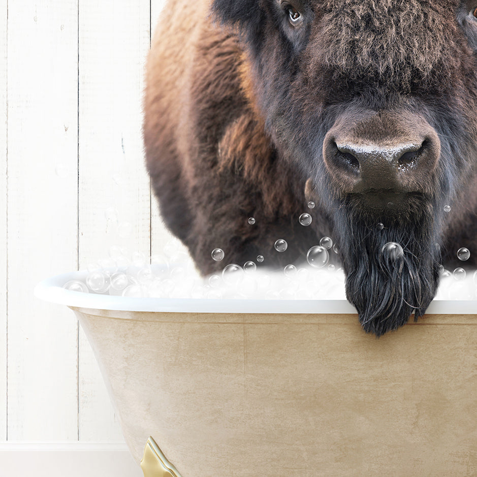 Bison in Farmhouse Bath