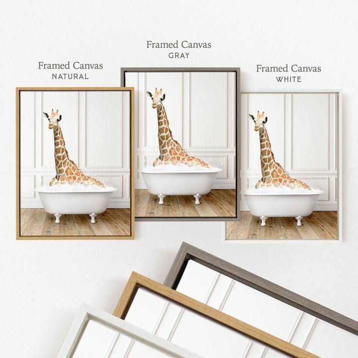 a giraffe sitting in a bathtub, with three framed versions of the image displayed side by side.