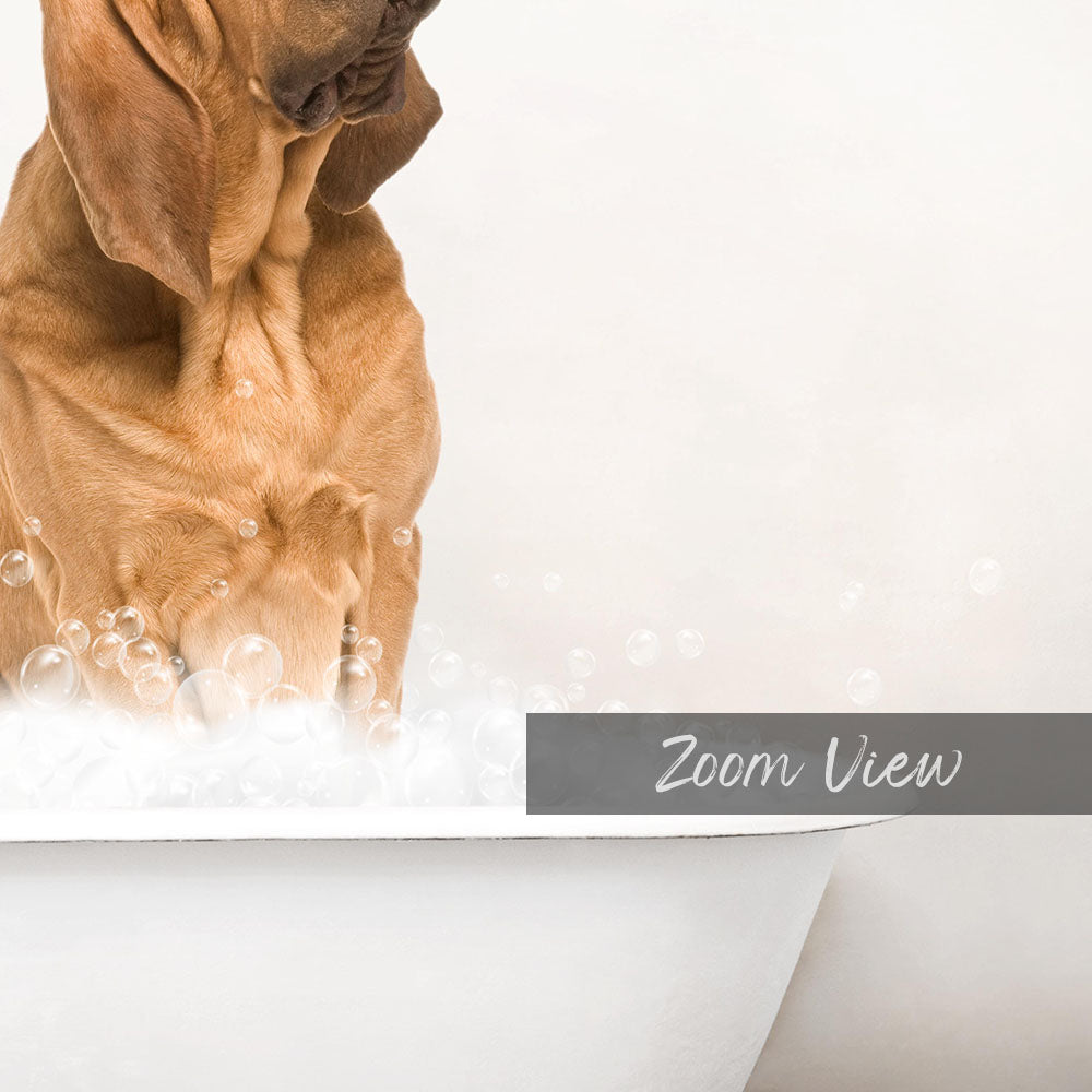A dog sitting in a bathtub filled with bubbles, with the word "Zoom View" written on the side of the tub.
