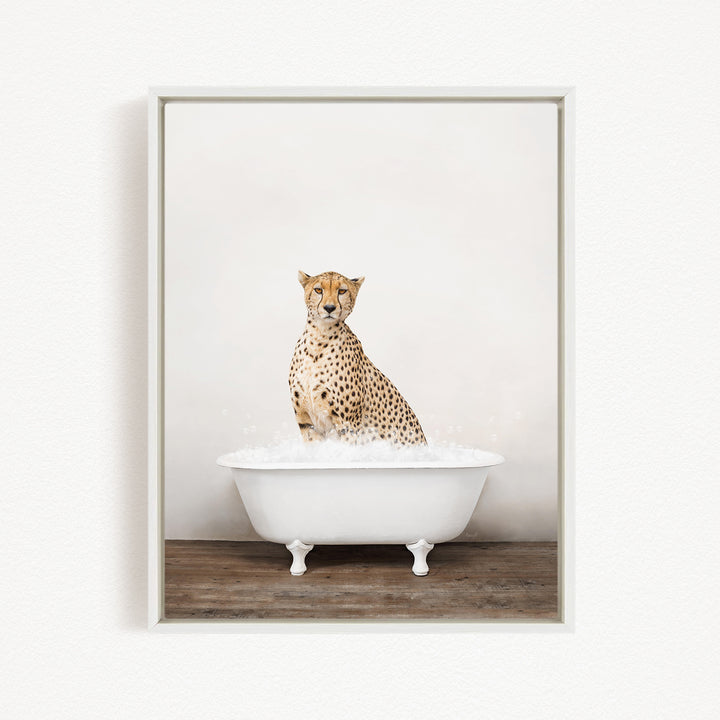 A cheetah sitting in a white bathtub filled with water, looking directly at the camera.