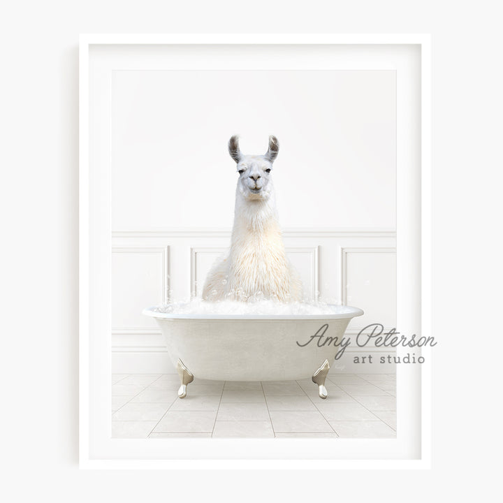 a llama in a bathtub with a white background