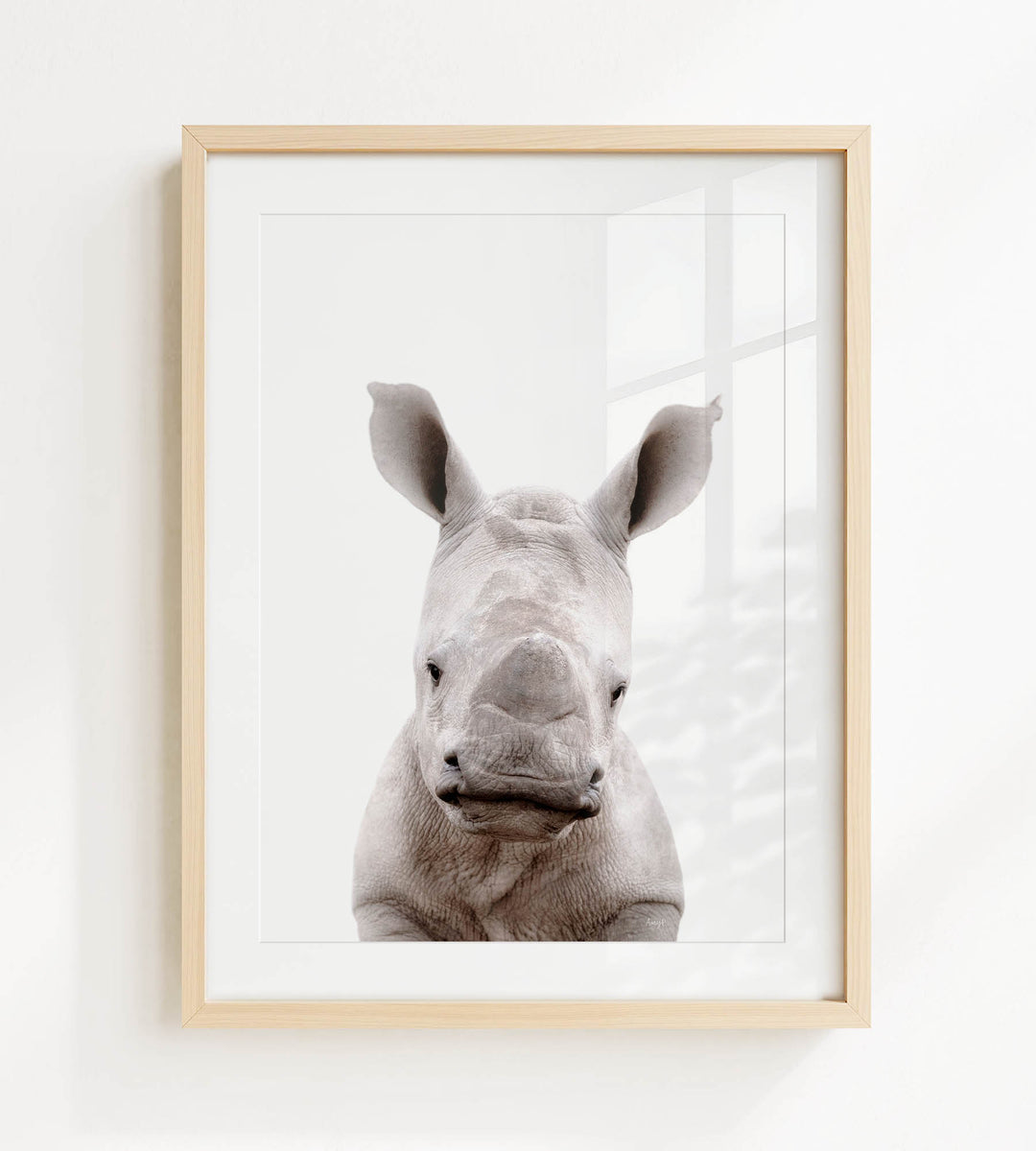 A framed photograph of a rhinoceros, with its distinctive horn-like structures visible.