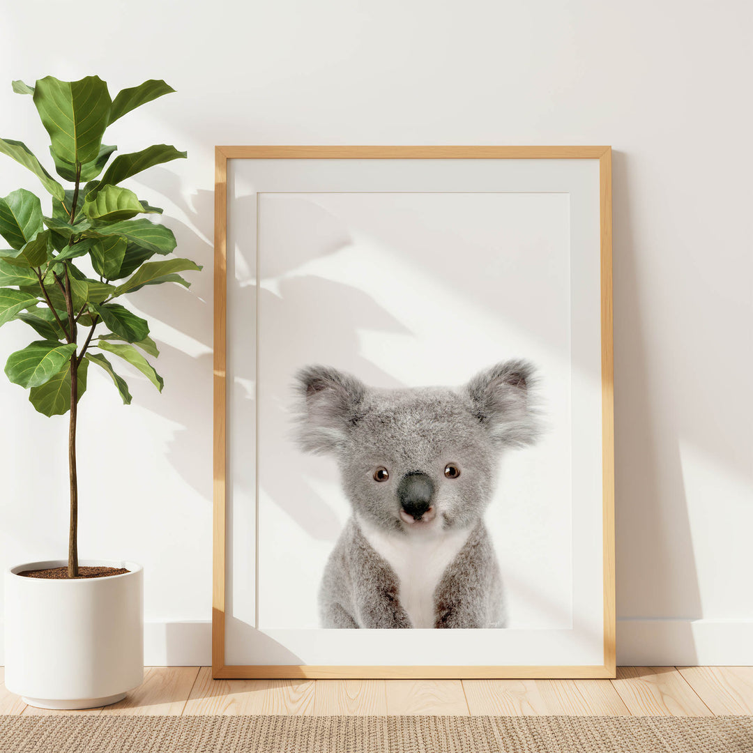 a koala bear in a white frame, which is placed on a wooden floor next to a potted plant.