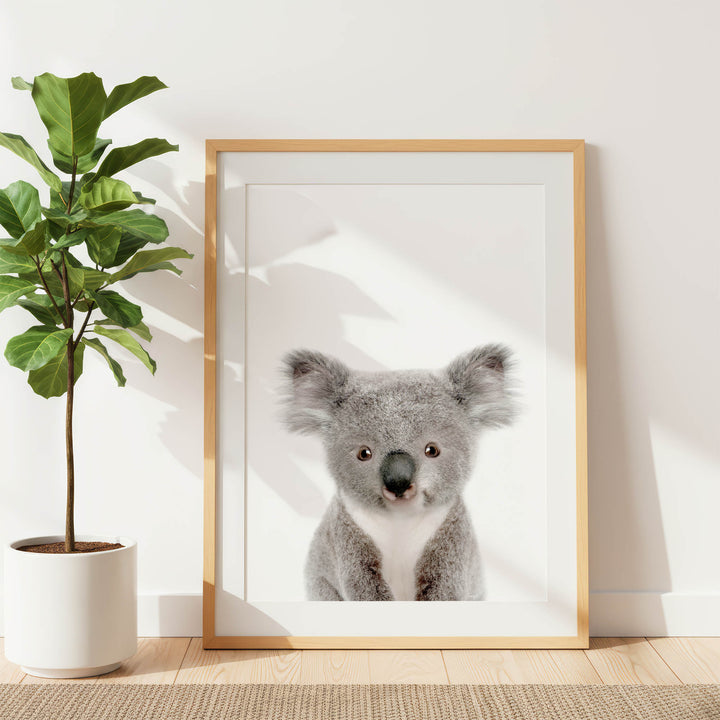 a koala bear in a white frame, which is placed on a wooden floor next to a potted plant.