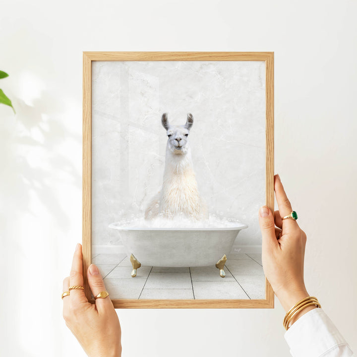A person's hands are holding a framed picture of a white llama sitting in a bathtub filled with bubbles.