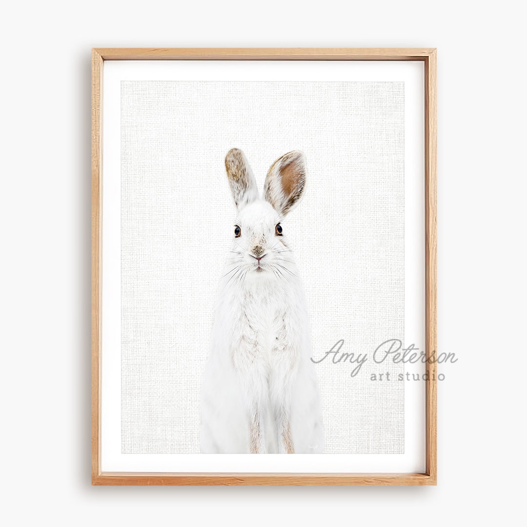 a picture of a white rabbit in a wooden frame